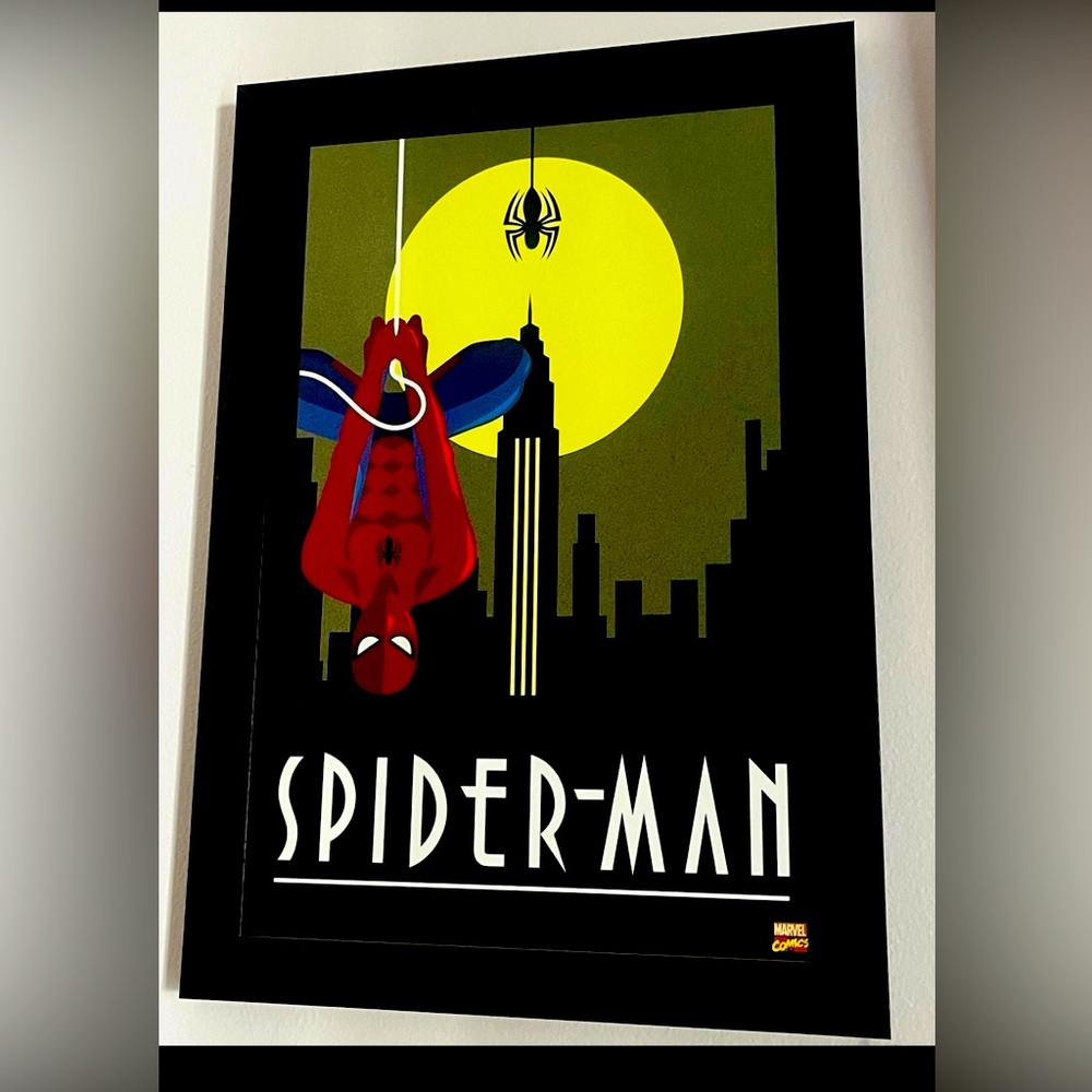Spider Man frame 🕷️🕸️
